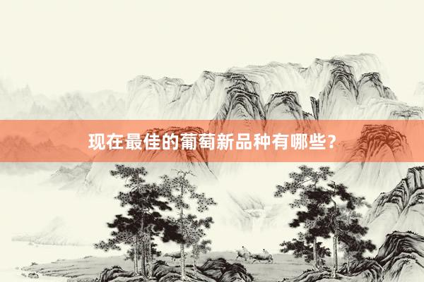 现在最佳的葡萄新品种有哪些？